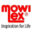 PT Mowilex Indonesia